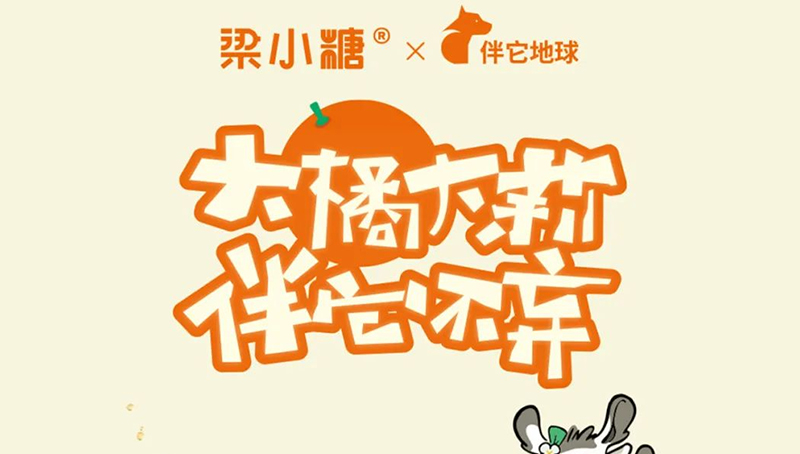 深秋暖橙 |「梁小糖x伴它地球」橙意上新，为流浪动物贴秋膘！