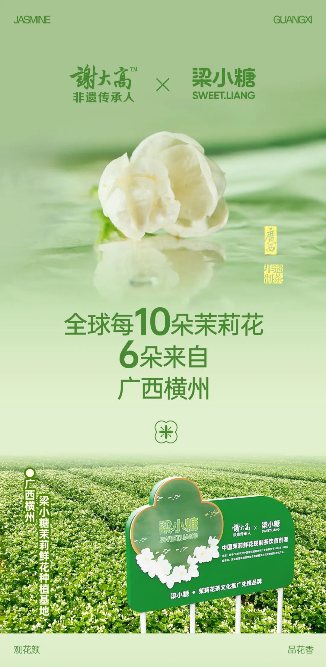 茶纳花香丨梁小糖茉莉花田茶包上新