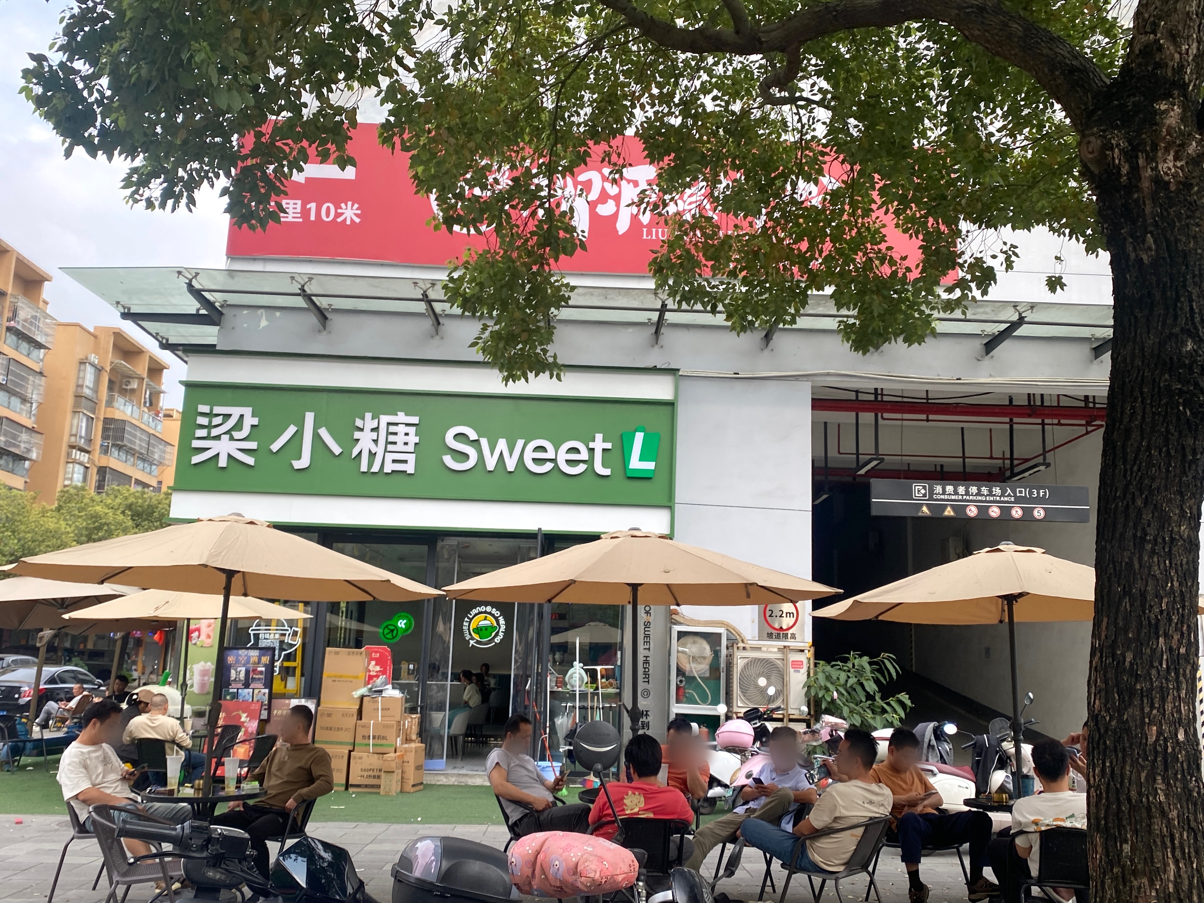 从好一朵·横州茉莉到白兰茉莉抹茶酪乳:梁小糖茉莉鲜花家族全品解读 从好一朵·横州茉莉到白兰茉莉抹茶酪乳:梁小糖茉莉鲜花家族全品解读